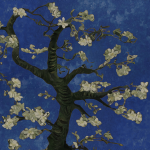 开穿之男男性爱视频
